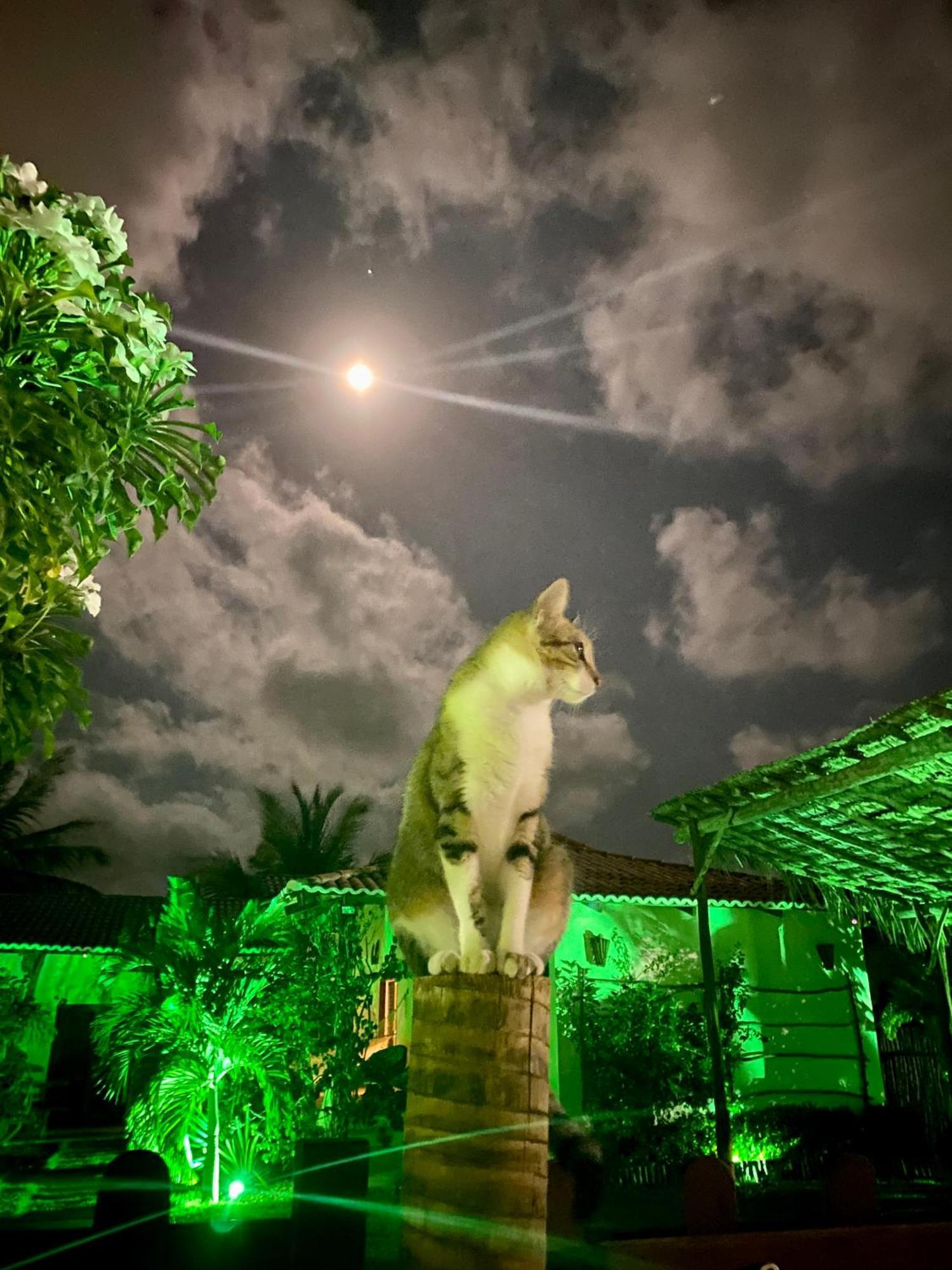 Villa Corsica Prea Exteriér fotografie